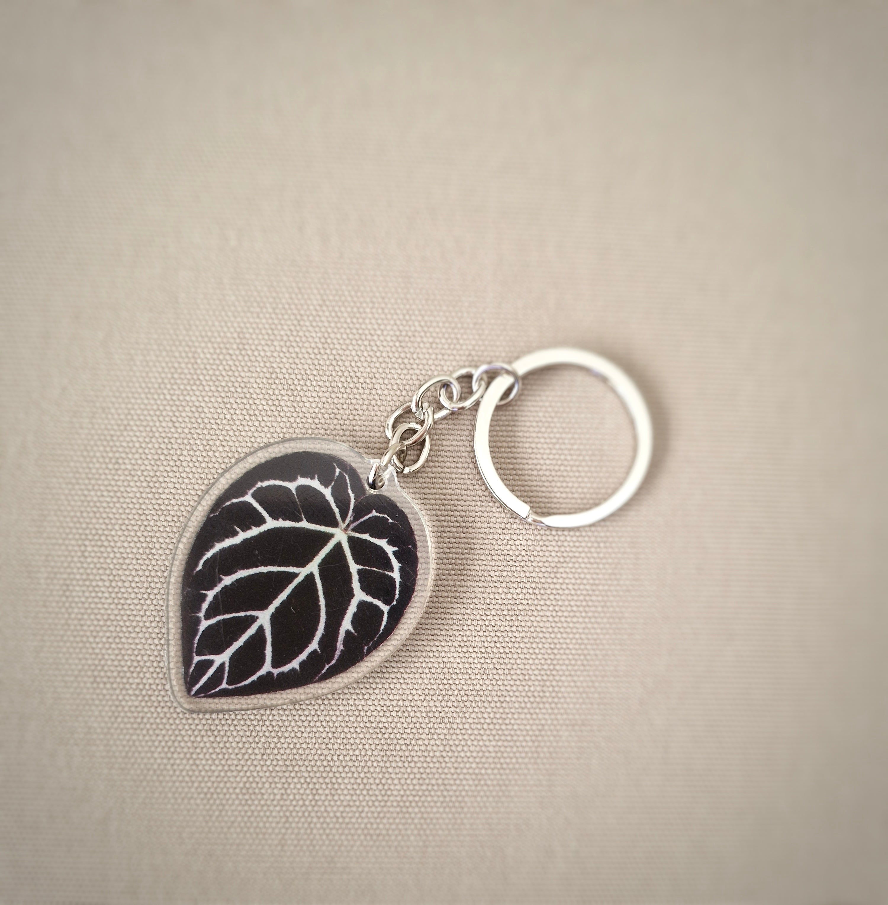 Plant Keyrings