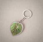 Load image into Gallery viewer, Plant Keyrings
